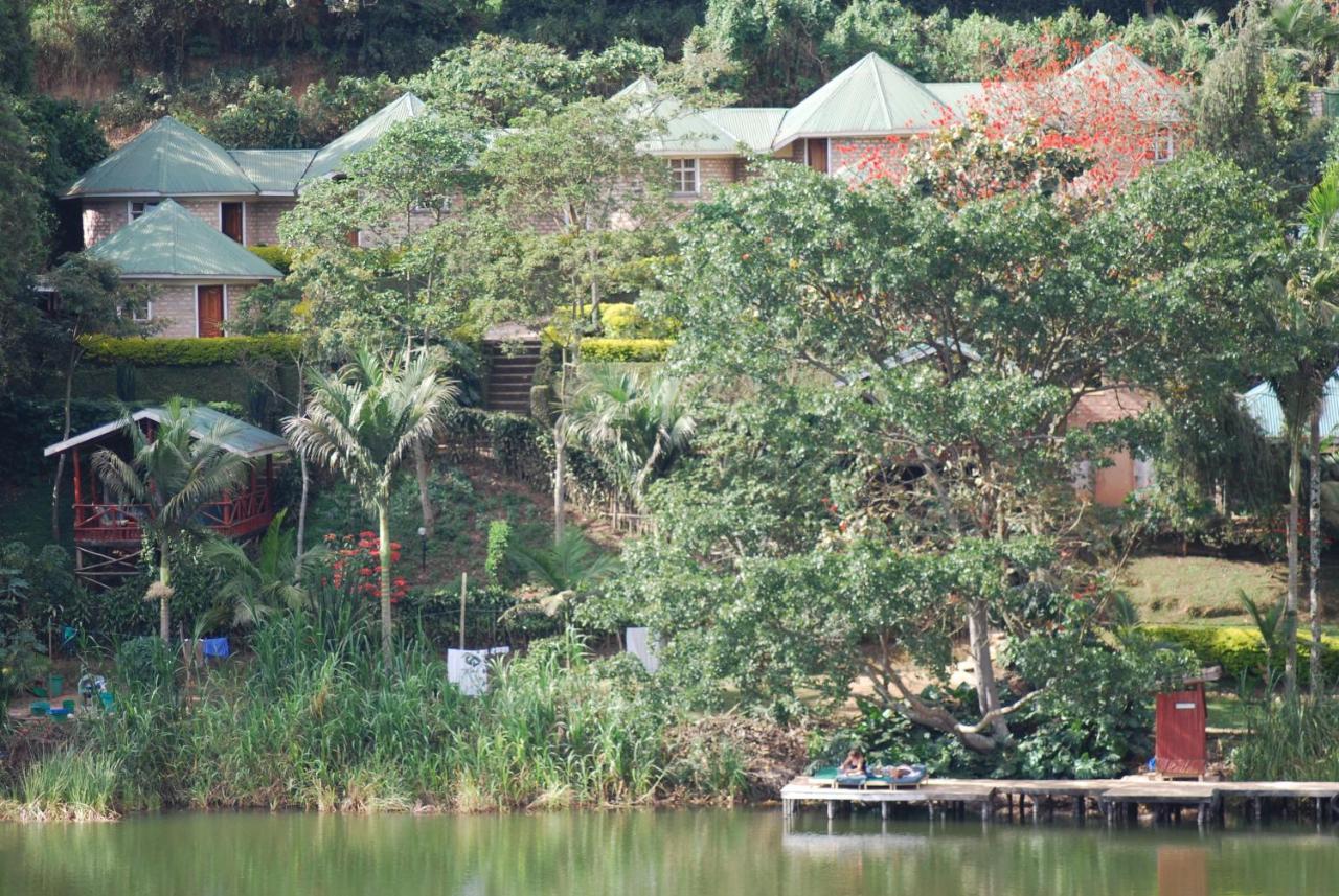 Crater Bay Cottages Kabale Ngoại thất bức ảnh