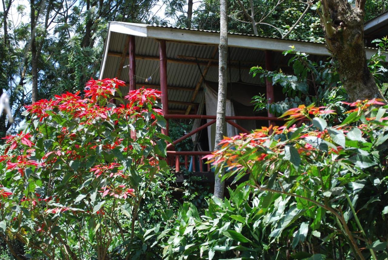 Crater Bay Cottages Kabale Ngoại thất bức ảnh