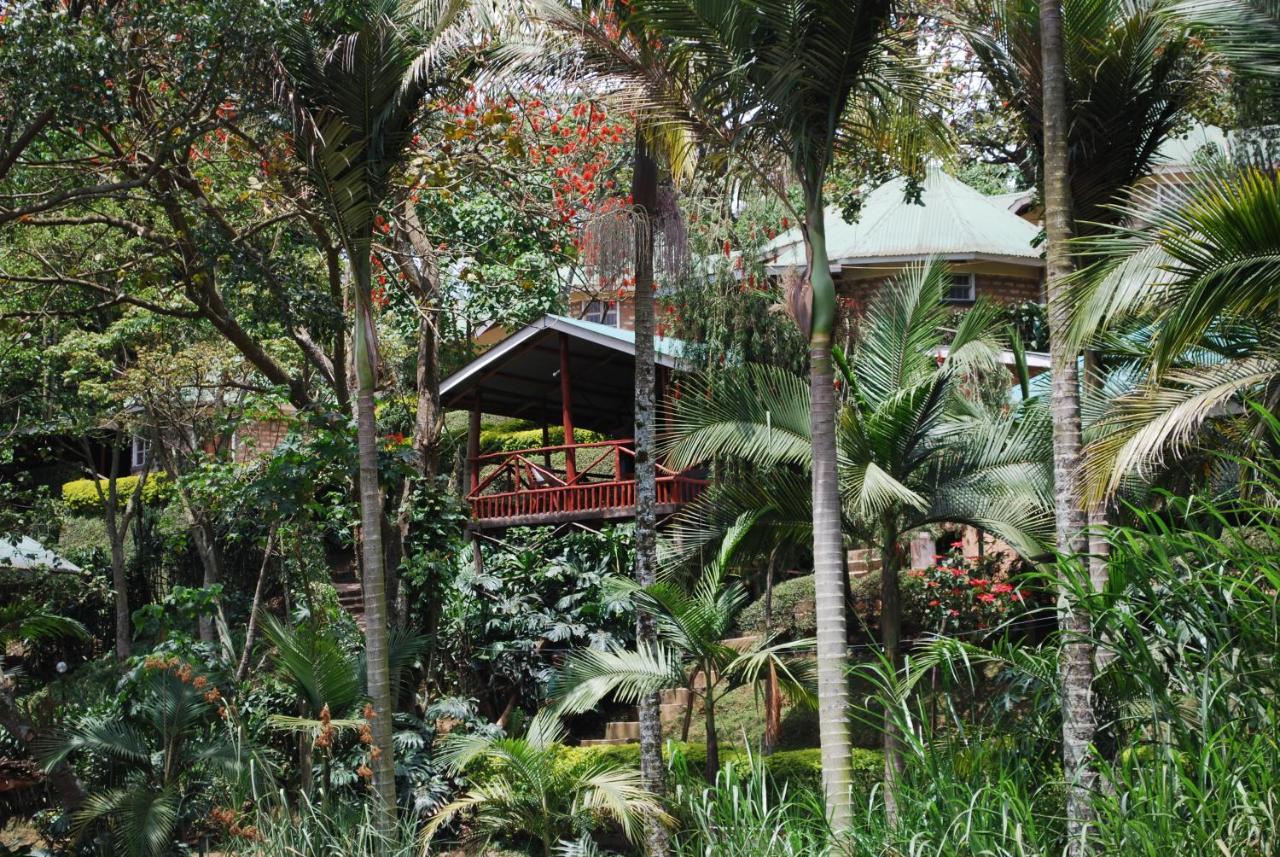 Crater Bay Cottages Kabale Ngoại thất bức ảnh